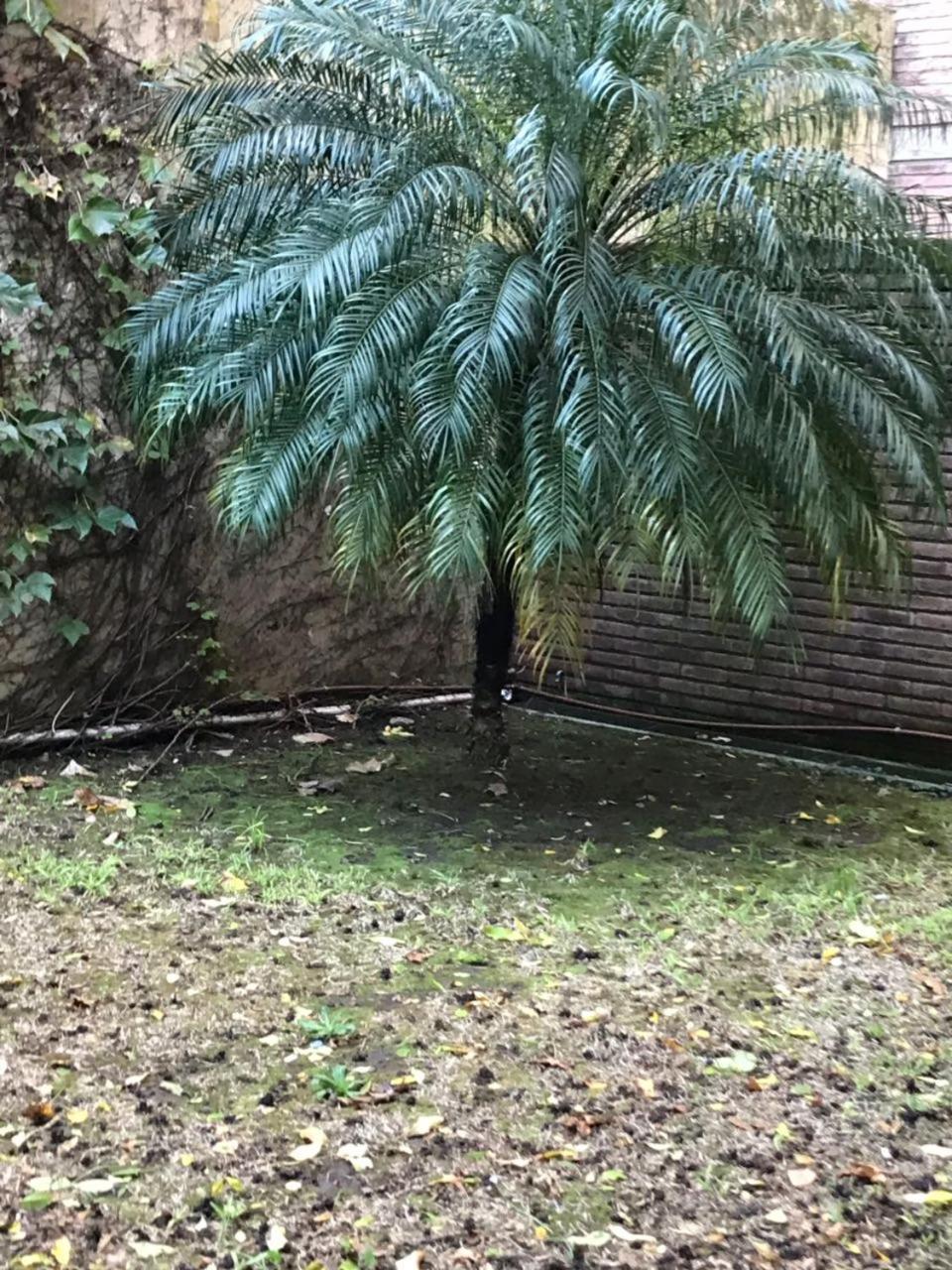 罗萨里奥Amplio Dpto Con Jardin En El Centro De La Ciudad公寓 外观 照片